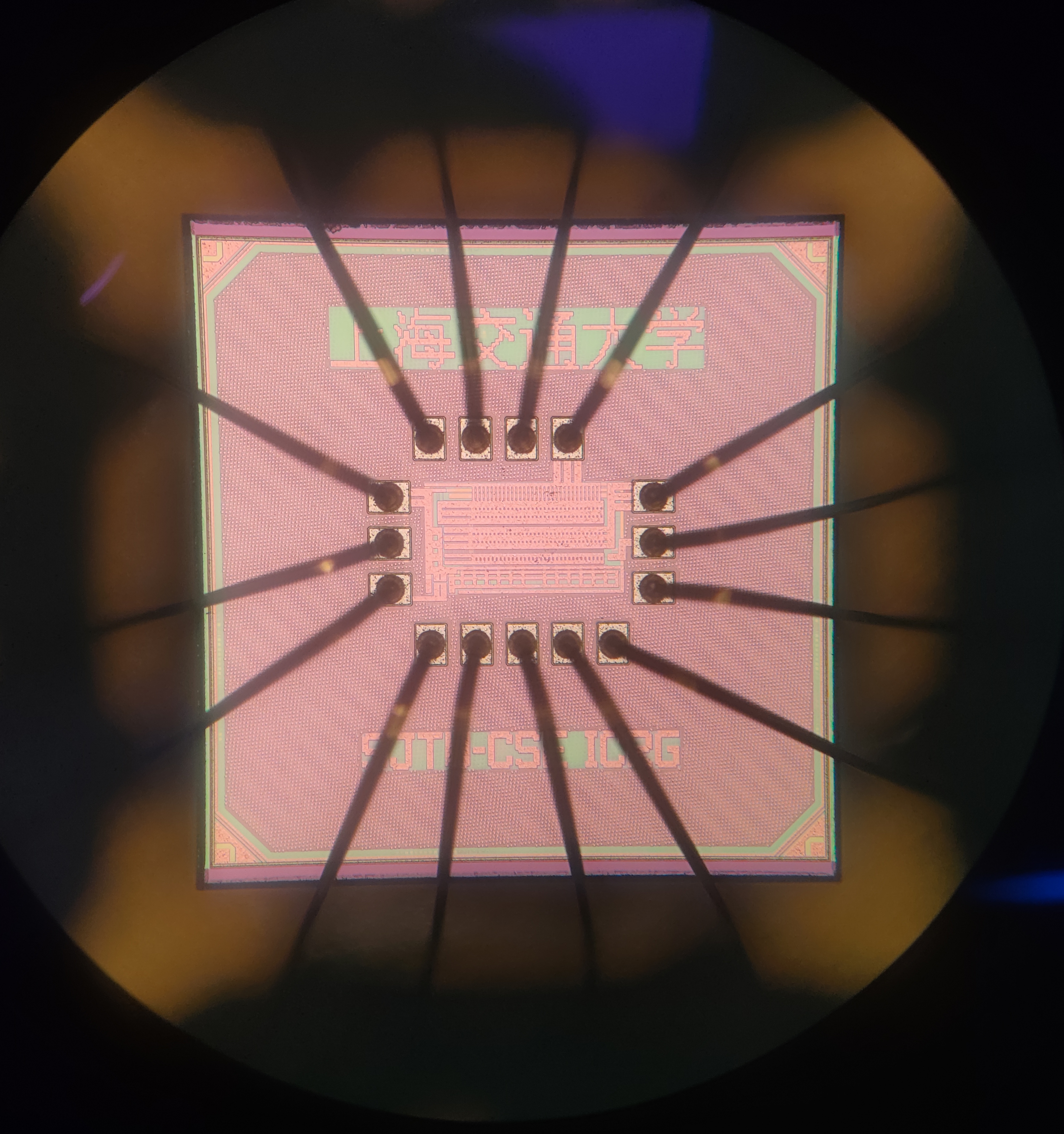 ICRG chip die photo